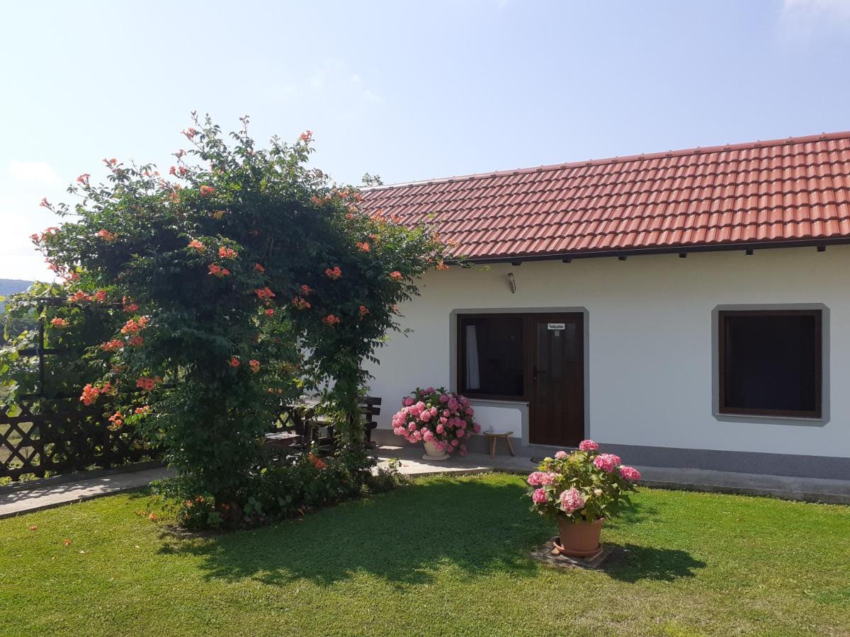 Apartment Petra I Nikola Селище Дрежницько Екстер'єр фото