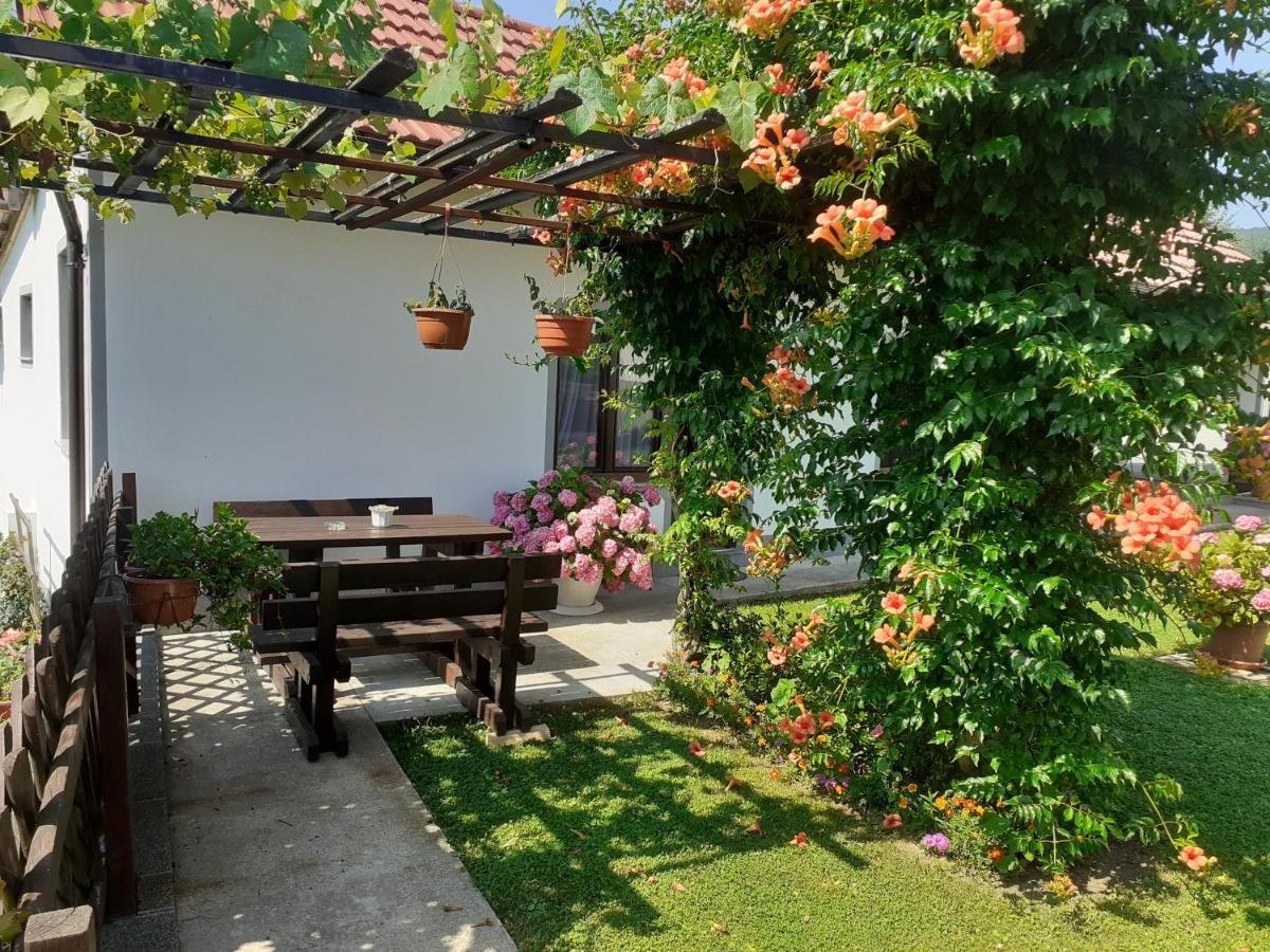 Apartment Petra I Nikola Селище Дрежницько Екстер'єр фото