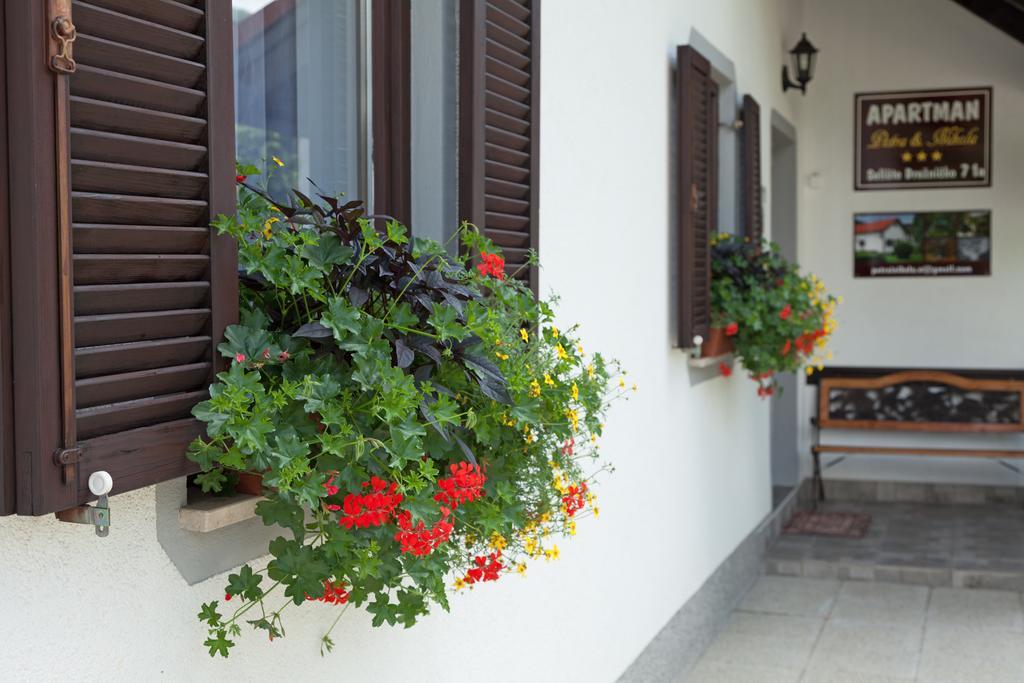 Apartment Petra I Nikola Селище Дрежницько Екстер'єр фото