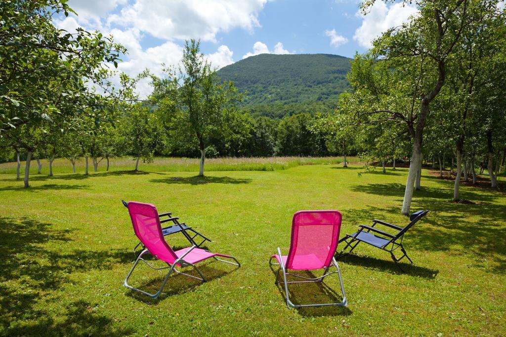 Apartment Petra I Nikola Селище Дрежницько Екстер'єр фото