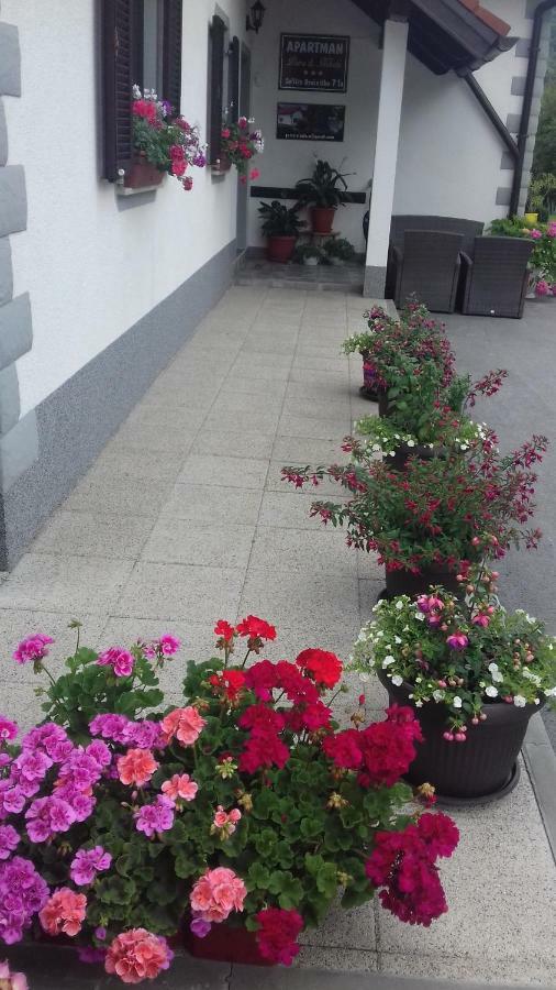 Apartment Petra I Nikola Селище Дрежницько Екстер'єр фото